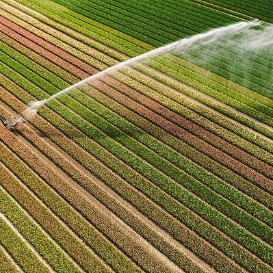 Robuste Bewässerungsanlage in der Landwirtschaft